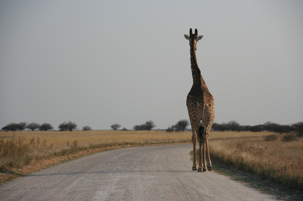 Namibia (7)